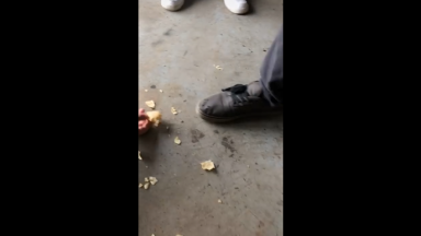 Lol: His Friend's Shoe Was Talking So He Decided To Feed It!